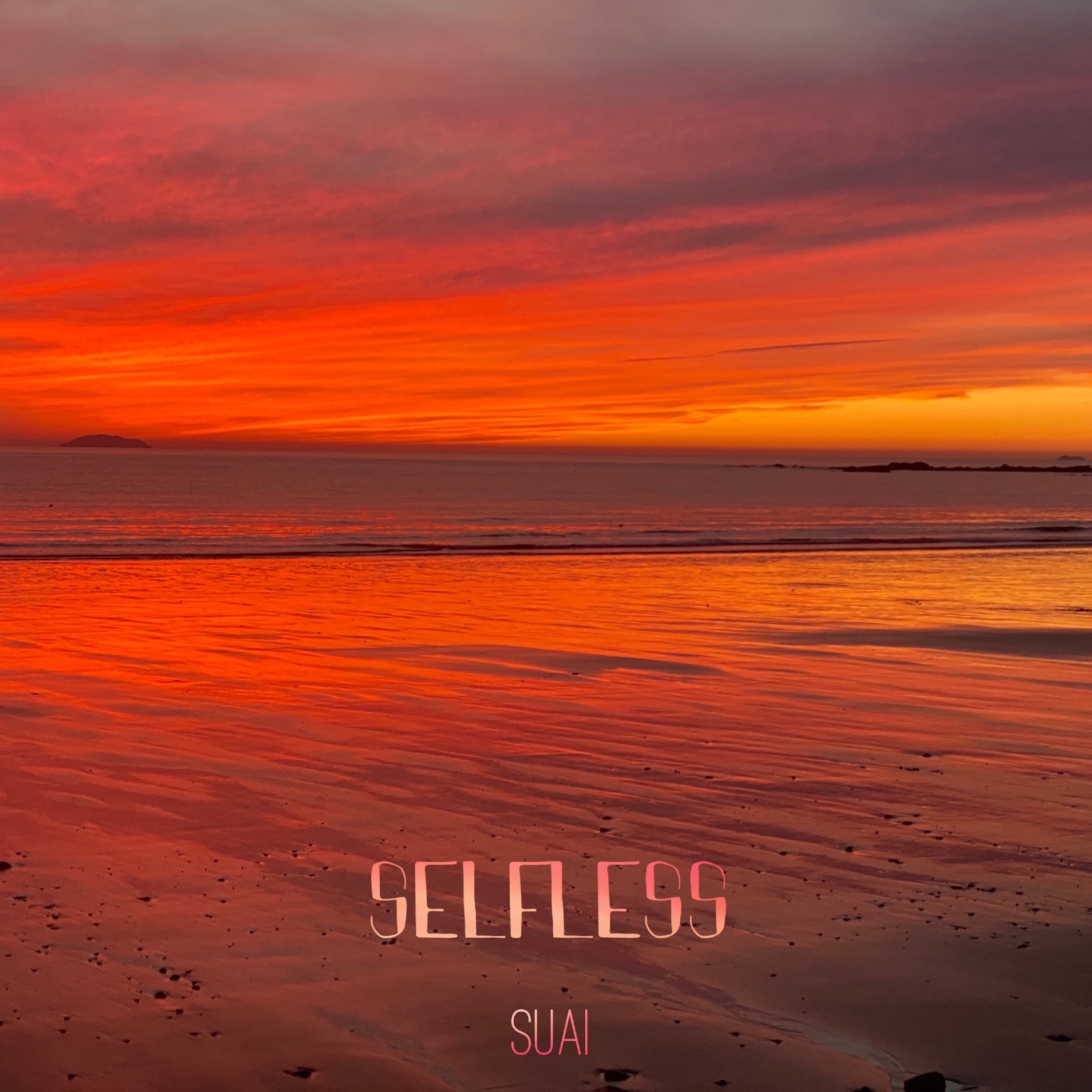 SUAI - 무아 無我 selfless.jpg